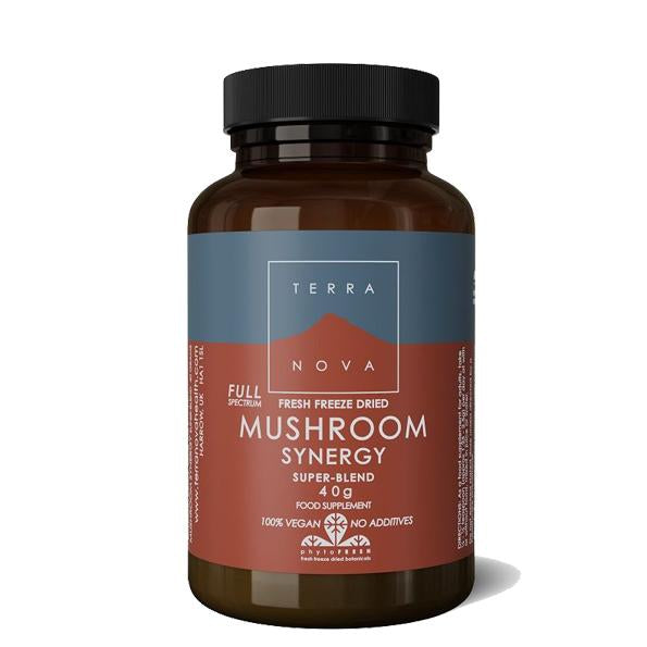 terra-nova-mushroom-synergy-super-blend-powder