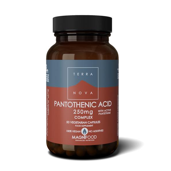 terra-nova-pantothenic-acid-with-pantethine-250mg-complex