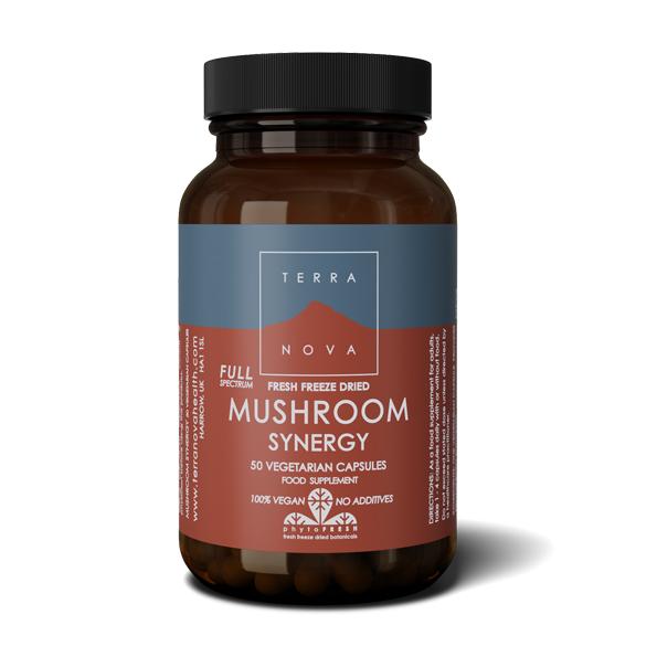 terra-nova-mushroom-synergy-capsules